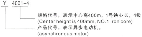 西安泰富西玛Y系列(H355-1000)高压YJTG-225S-4A/37KW三相异步电机型号说明