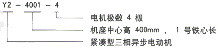 YR系列(H355-1000)高压YJTG-225S-4A/37KW三相异步电机西安西玛电机型号说明